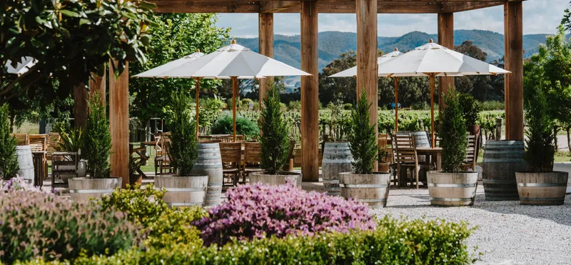 Celebration lunch at Wandarra Homestead