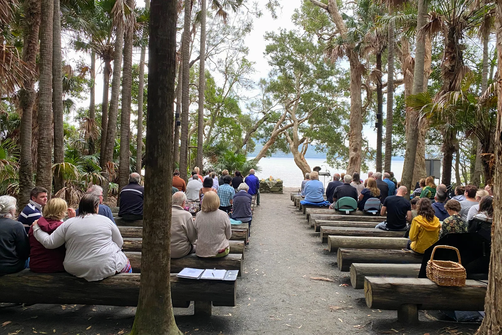 Paperbark cathedral at Green Cathedral