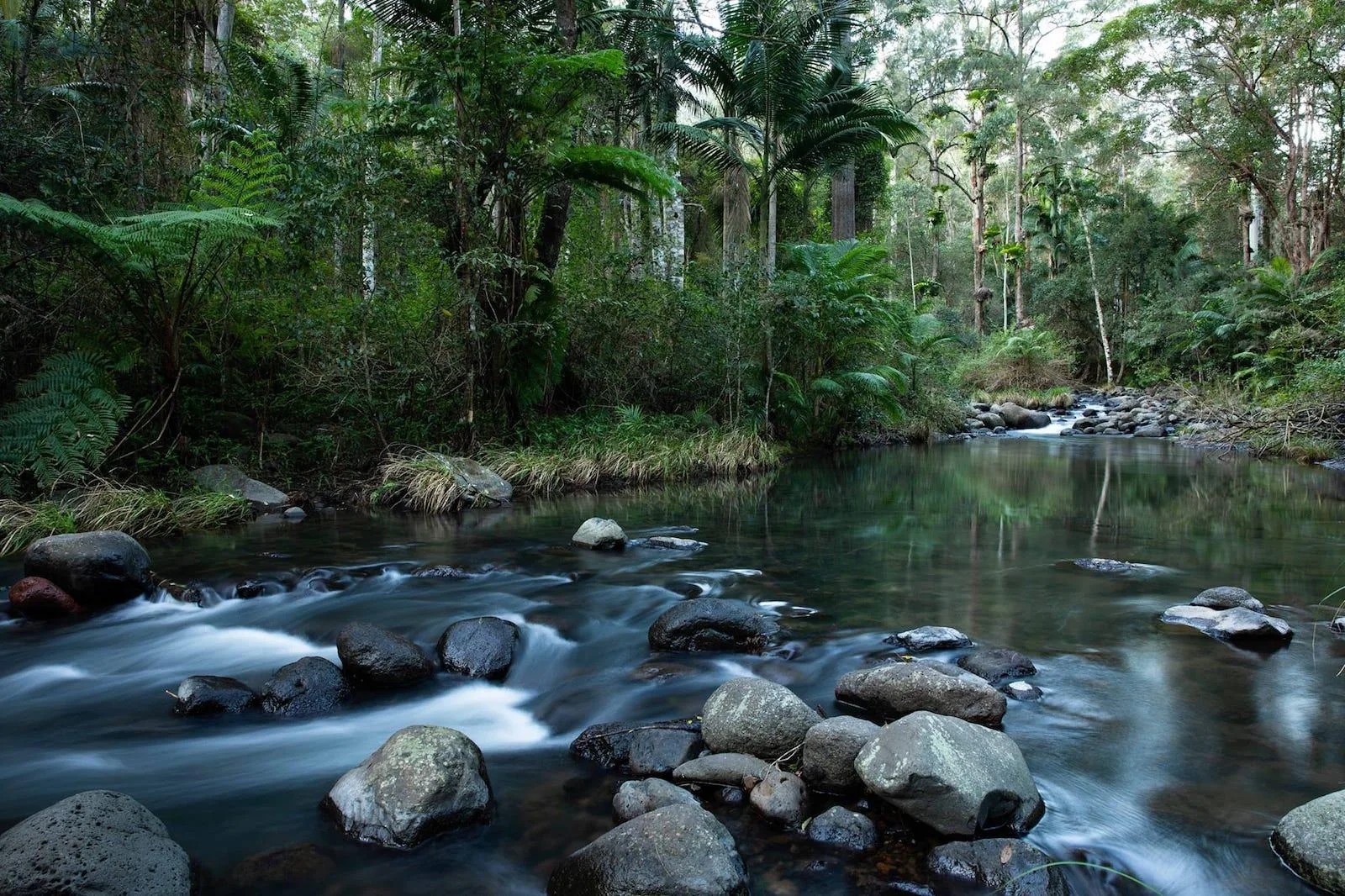 Sine Cera Rainforest Retreat