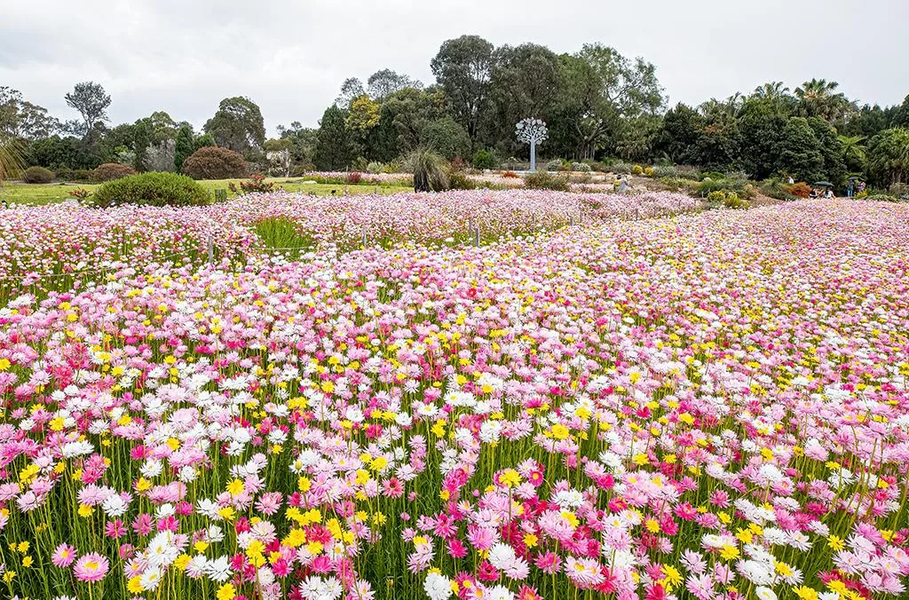 Australian Botanic Gardens Sydney