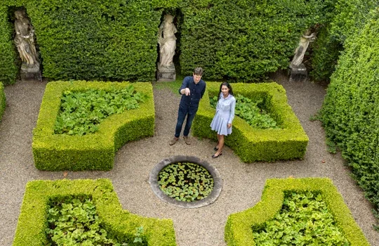 The parterre garden at Lindesay House with statues and manicured hedges