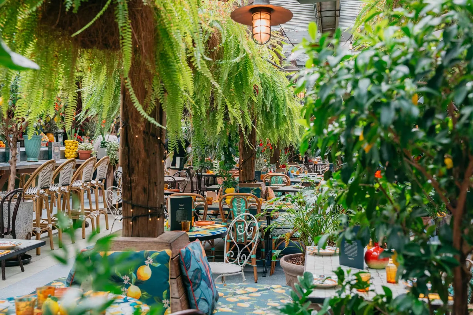 The Grounds of Alexandria
