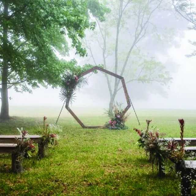 The Avenue of Trees at Chapel Hill Retreat