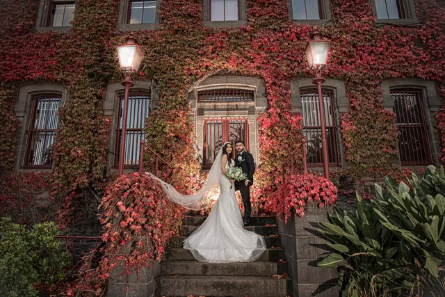 Focus Films — photo 9