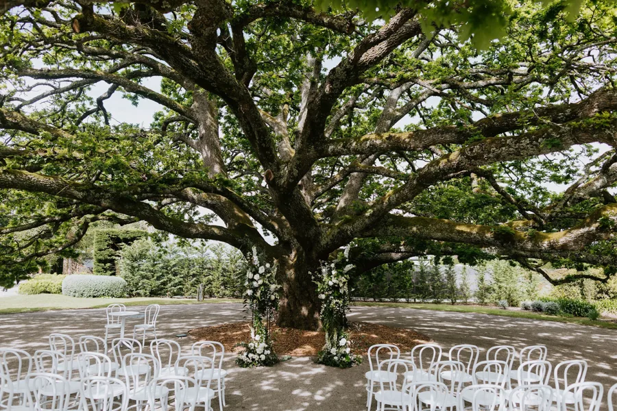 The Majestic Oak at Coombe Yarra Valley