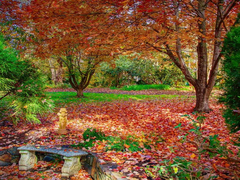 Eden Yarra Valley