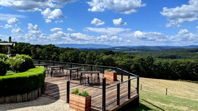 Forest Edge — gallery photo 10