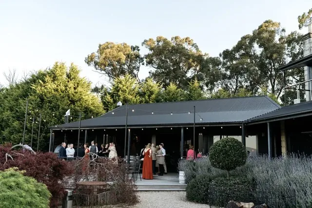 Forest Edge — gallery photo 11
