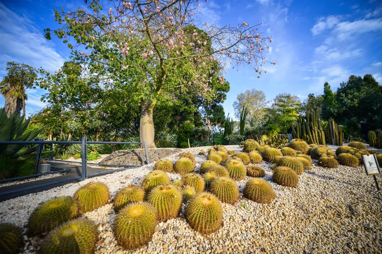 Geelong Botanic Gardens — gallery photo
