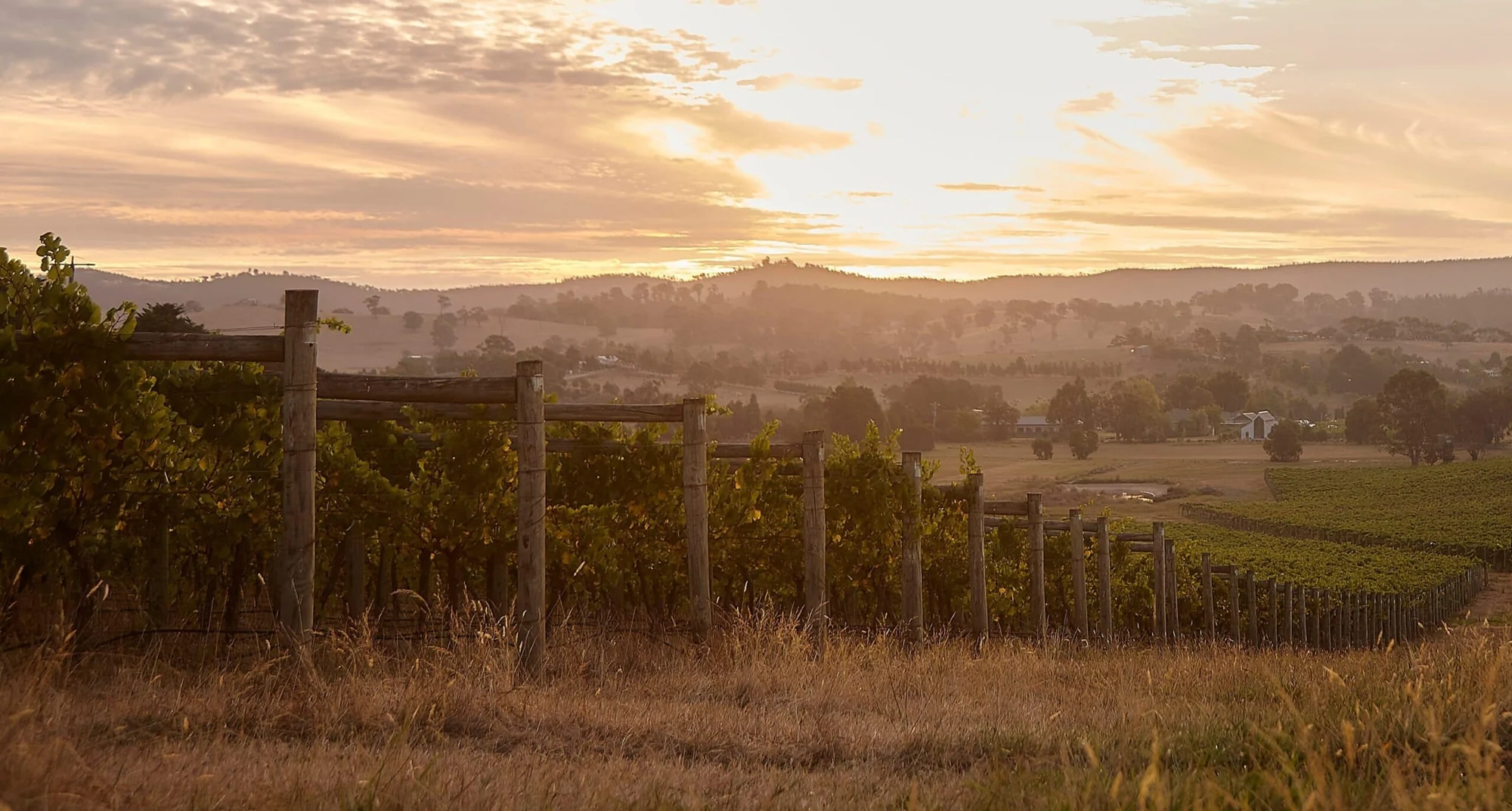 Immerse in the Yarra Valley