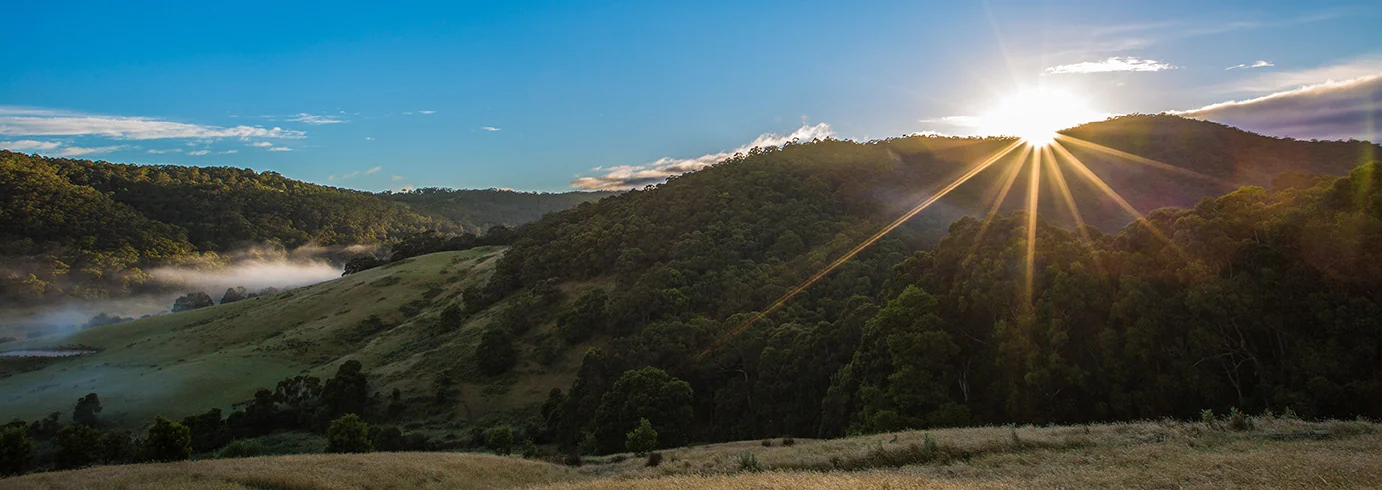 King Parrot Cottages