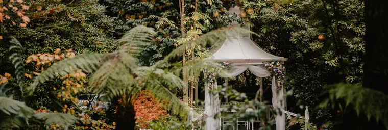 Lyrebird Falls &mdash; gallery photo