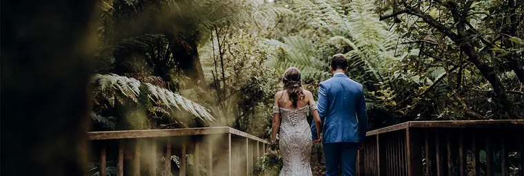 Lyrebird Falls &mdash; gallery photo