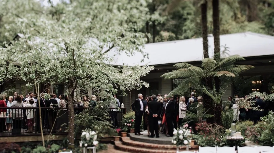 Decking at Lyrebird Falls
