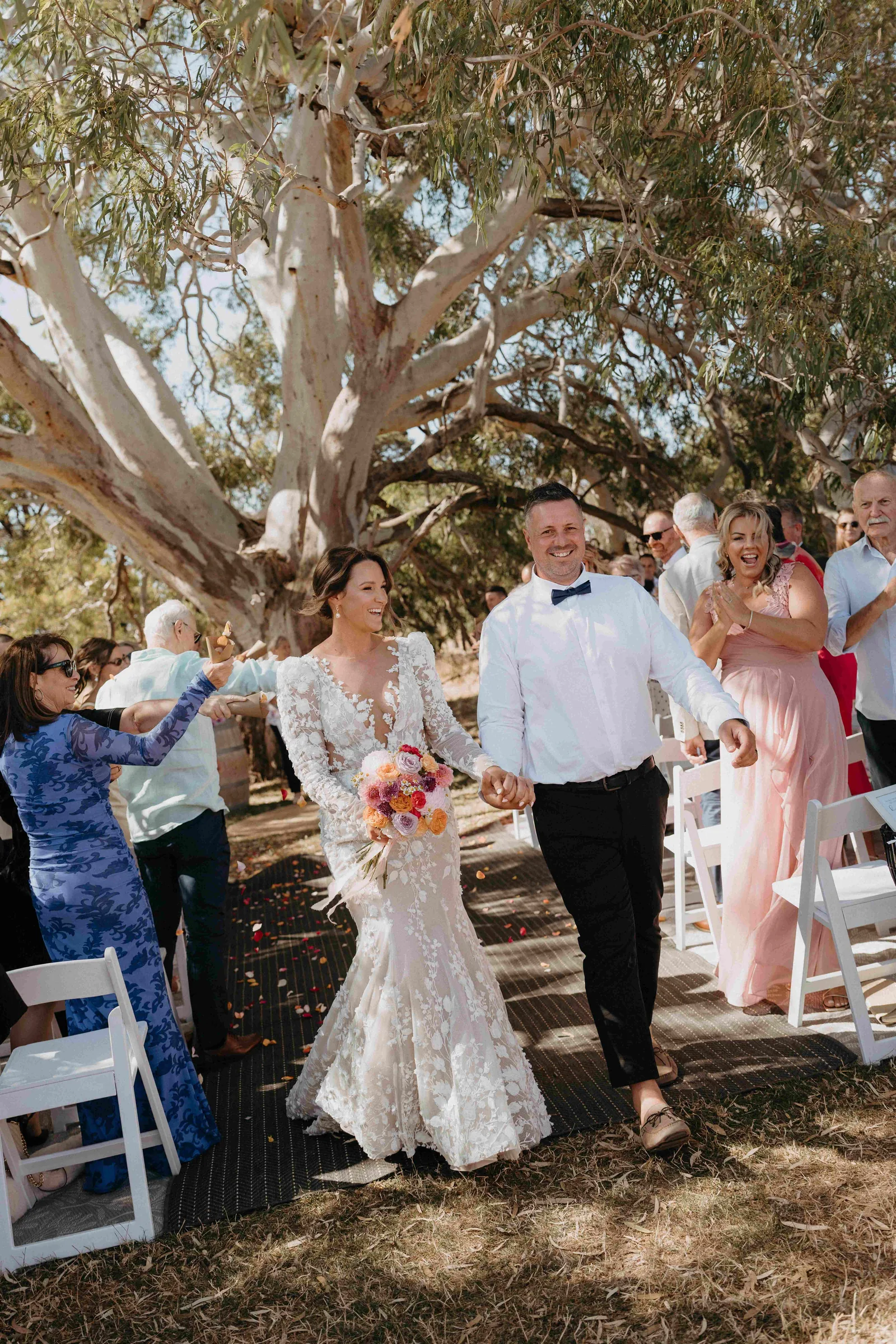 The historic 800-year-old gum tree ceremony site at Rocklea Farm