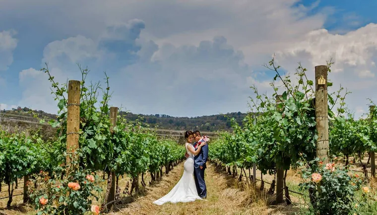 Vines of the Yarra Valley &mdash; gallery photo