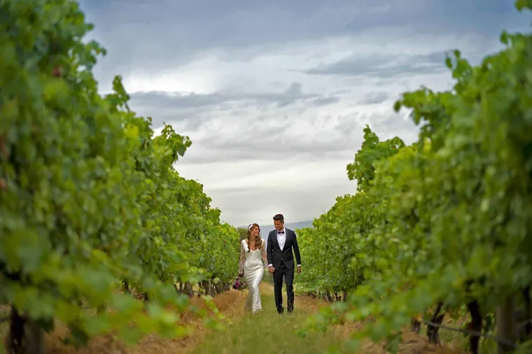 Vines of the Yarra Valley &mdash; gallery photo