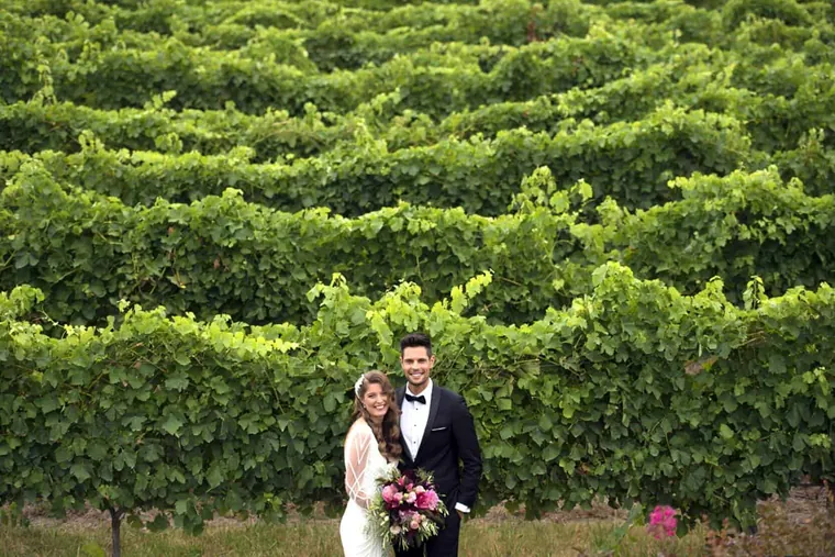 Vines of the Yarra Valley &mdash; gallery photo