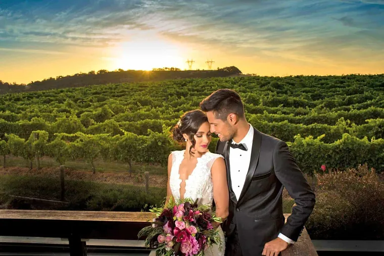 Vines of the Yarra Valley &mdash; gallery photo