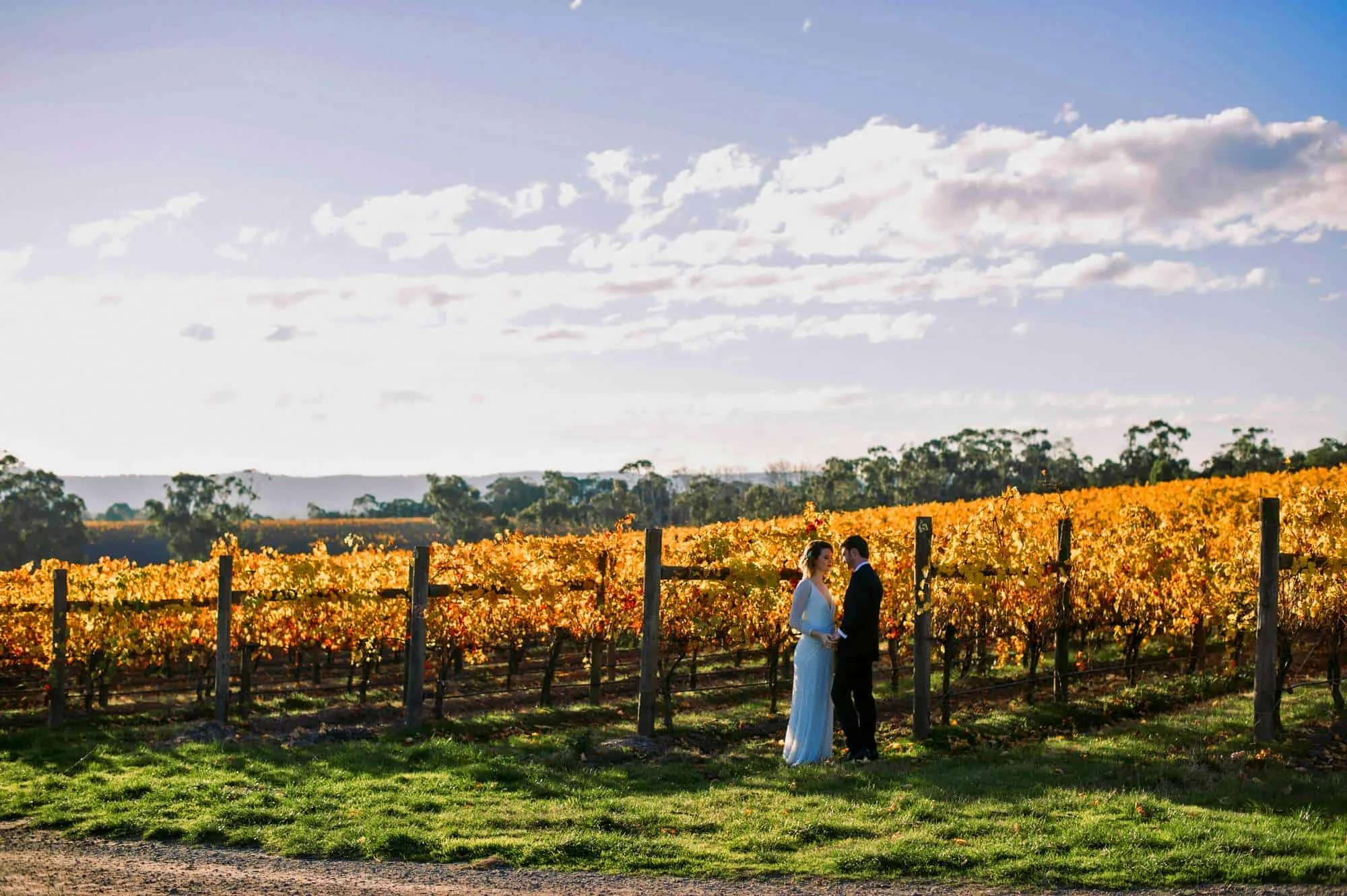 Vines of the Yarra Valley