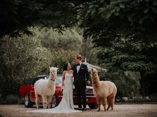 Lovelenscapes — wedding photo 10