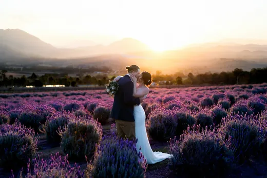 Alegna Weddings