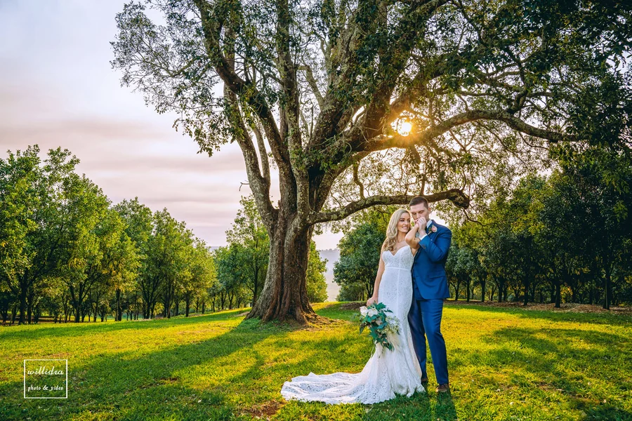 Willidea Studio — a couple under a broad tree at sunset