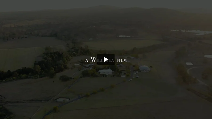 Willidea Studio — Ryan & Chynna