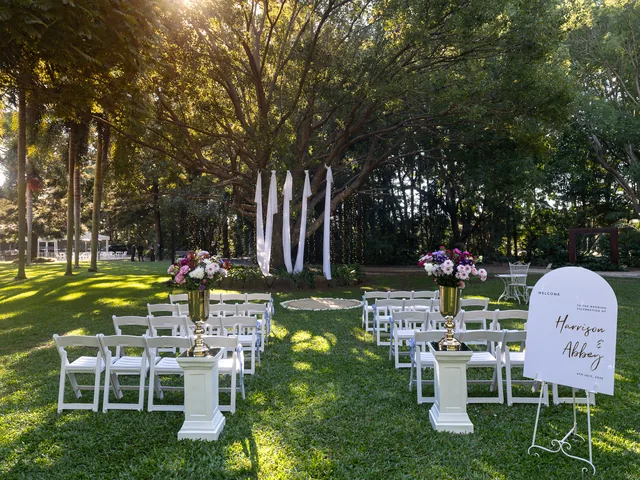 In The Grove — garden ceremony beneath the kissing tree with draped fabric and fairy lights