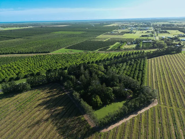 In The Grove — aerial view of the 1.4-hectare property