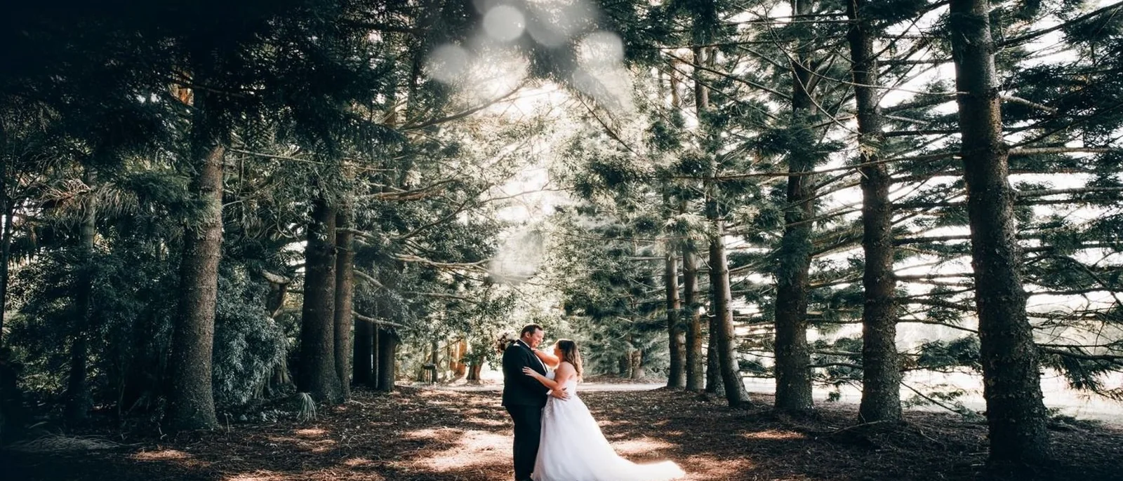 In The Grove &mdash; Bundaberg wedding venue