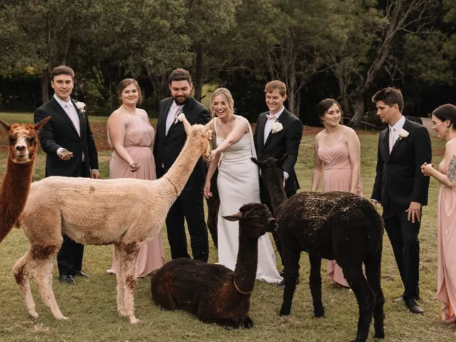 Rainforest Gardens — wedding gallery photo 7