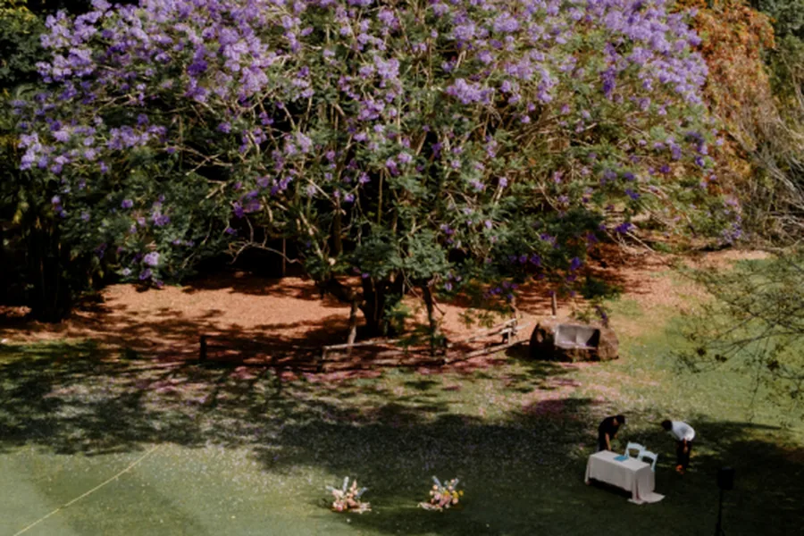 The Jacaranda at The Acre Boomerang Hills, a ceremony setting beneath the jacaranda tree
