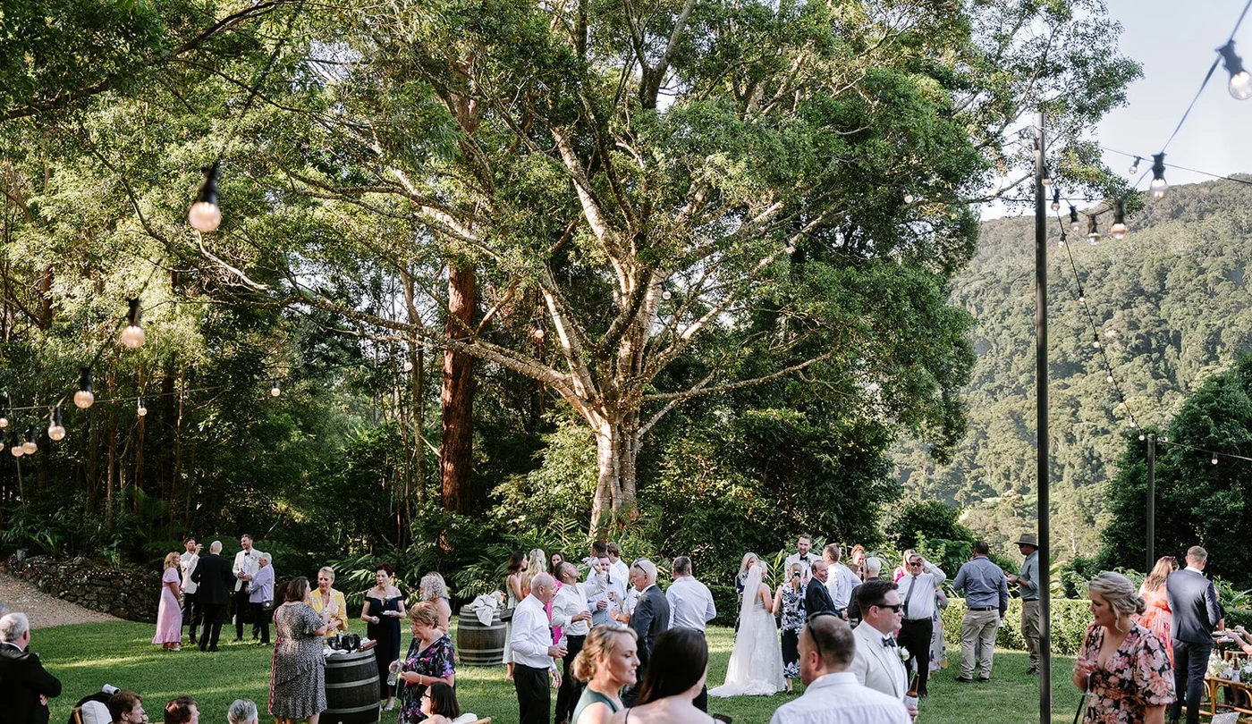 Post-ceremony drinks beneath the fig tree at The Bower Estate
