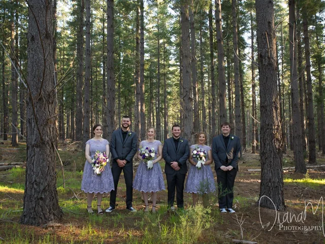 DianaM Photography &mdash; wedding photo 13