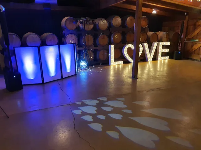Pro DJs Australia wedding photo 8
