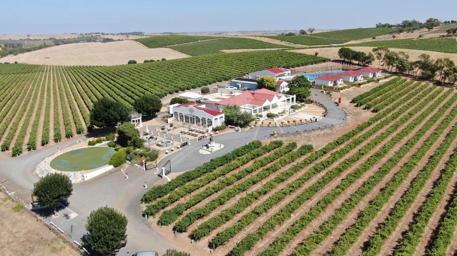 1837 Barossa — the estate and vineyards from the air