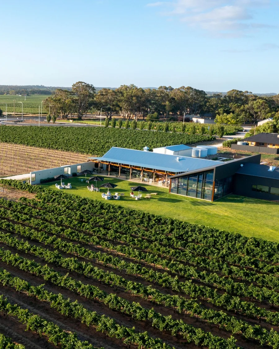 Artisans of Barossa — the estate and vineyards from the air
