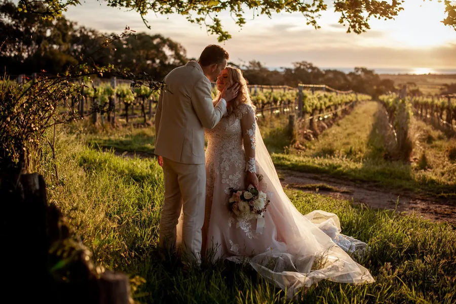 Barn1890 — the couple in the vineyard at sunset