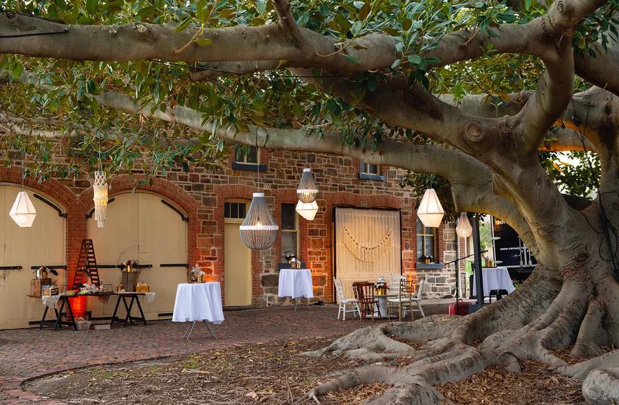 Glanville Hall &mdash; the fig tree courtyard under festoon lights