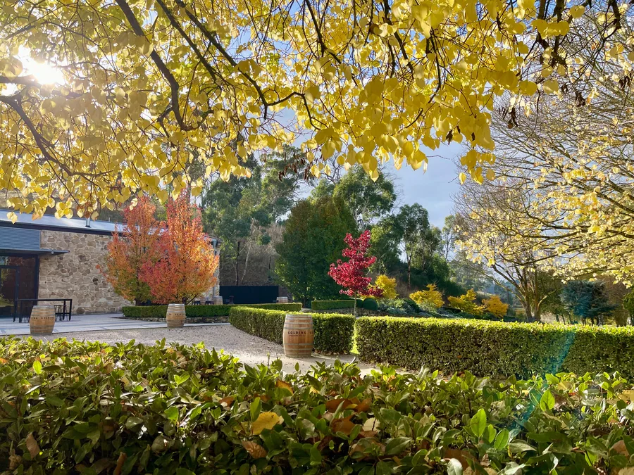 Golding Wines &mdash; The gardens and grounds