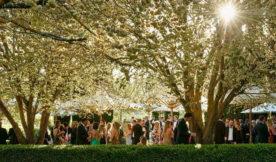 Golding Wines &mdash; guests under the trees at dusk