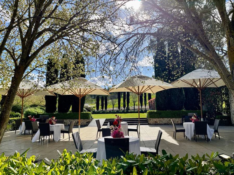 Golding Wines &mdash; the terrace with umbrellas among the roses
