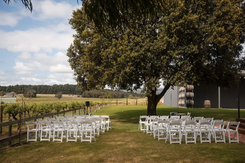 Hastwell & Lightfoot — the ceremony lawn beneath the gum tree