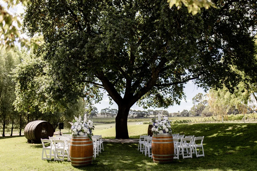 Howard Vineyard — the ceremony set beneath the old oak