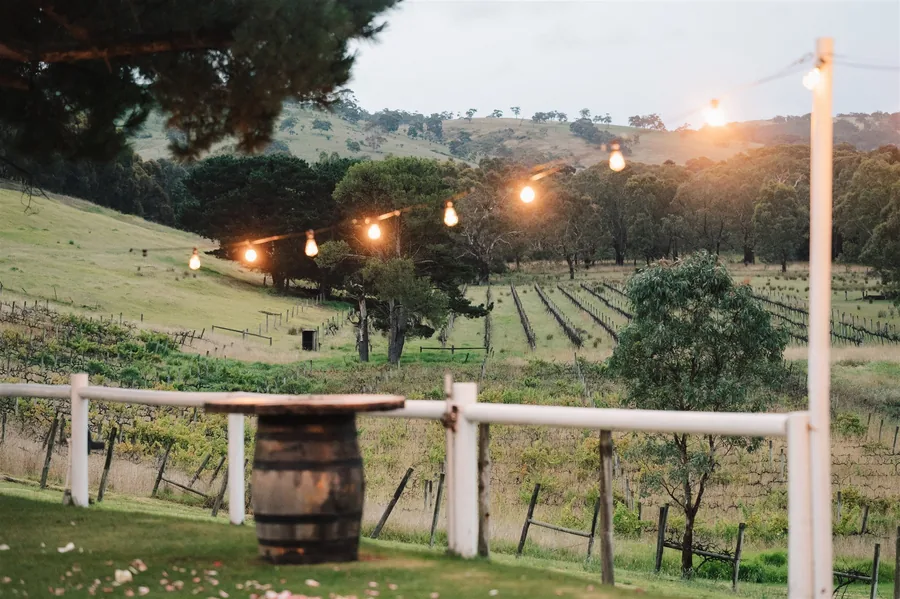 Lost Phoenix Farm &mdash; festoon lights over the lawn at dusk