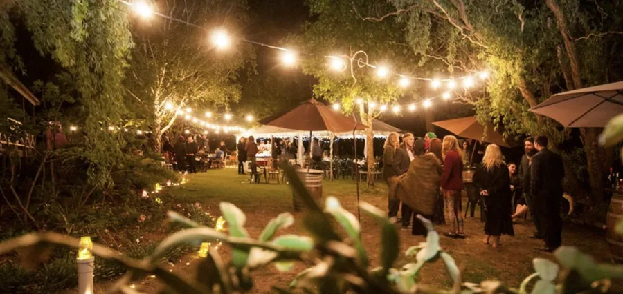 Magpie Springs — the reception at night under festoon lights