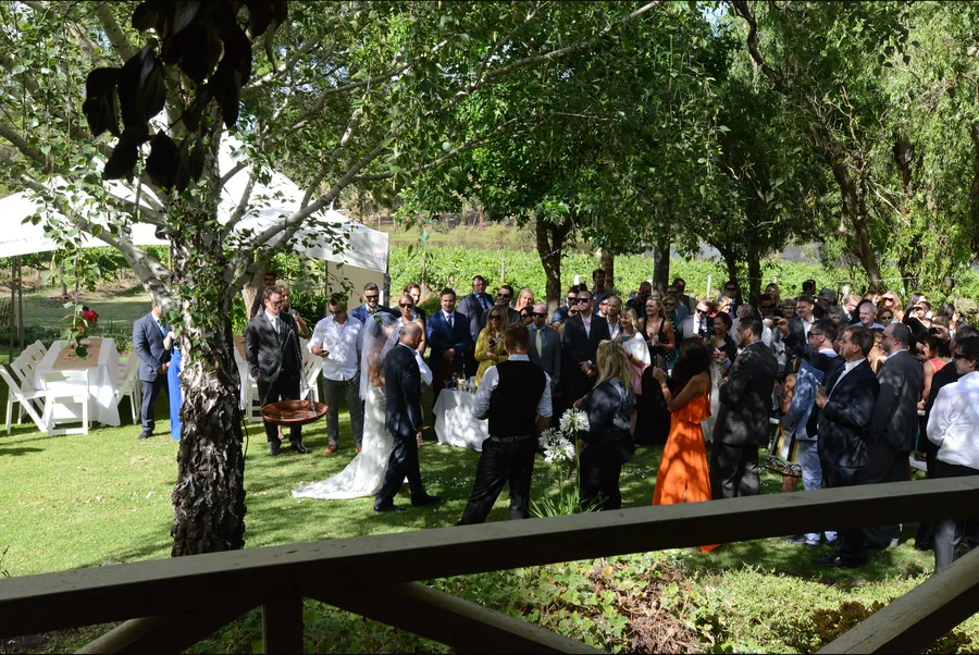 Magpie Springs — guests gathered for a ceremony among the vines
