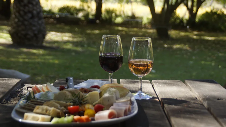 Magpie Springs — a platter and wine in the garden