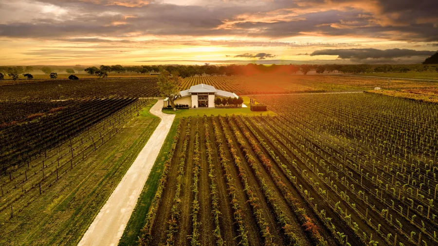 Parker Coonawarra Estate &mdash; the estate from the air at sunset